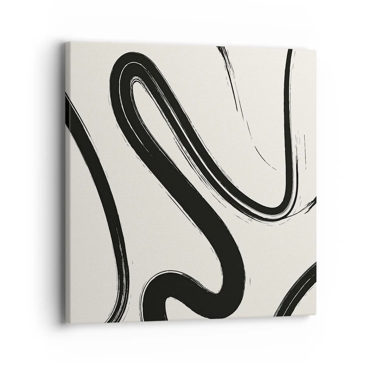 Quadro su tela - Stampe su Tela - Capriccio bianco e nero - 40x40 cm