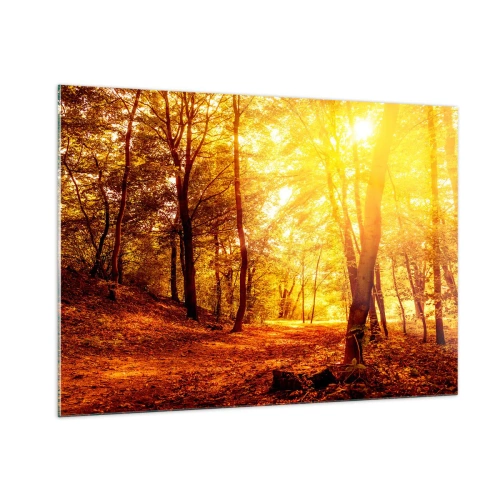 Quadro su vetro - Foresta autunnale illuminata dal caldo bagliore del sole - 100x70cm - Verso la radura dorata - Decorazione murale moderna per soggiorno e camera da letto ARTTOR