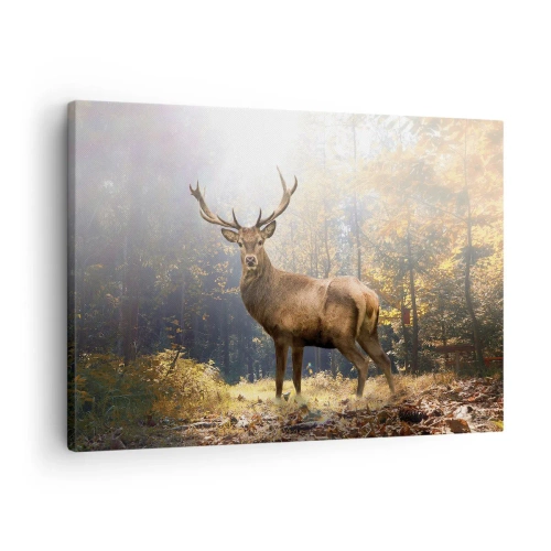 Quadro su tela - Stampe su Tela - Cervi nella foresta autunnale con raggi di sole - 70x50cm - Nella piena maestà - Decorazione murale moderna per soggiorno e camera da letto ARTTOR