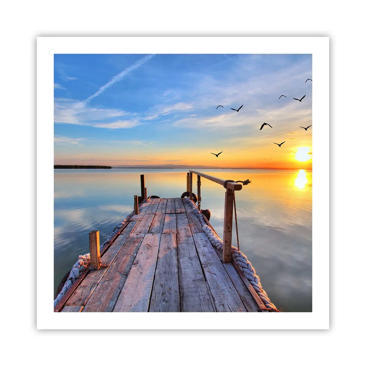 Poster - Camminando verso il sole - 60x60 cm