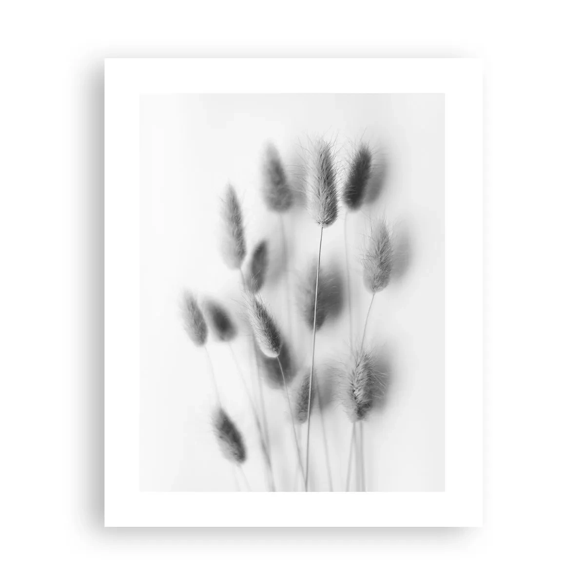 Poster - Erba soffice - 40x50 cm