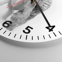 Quadrante con numeri