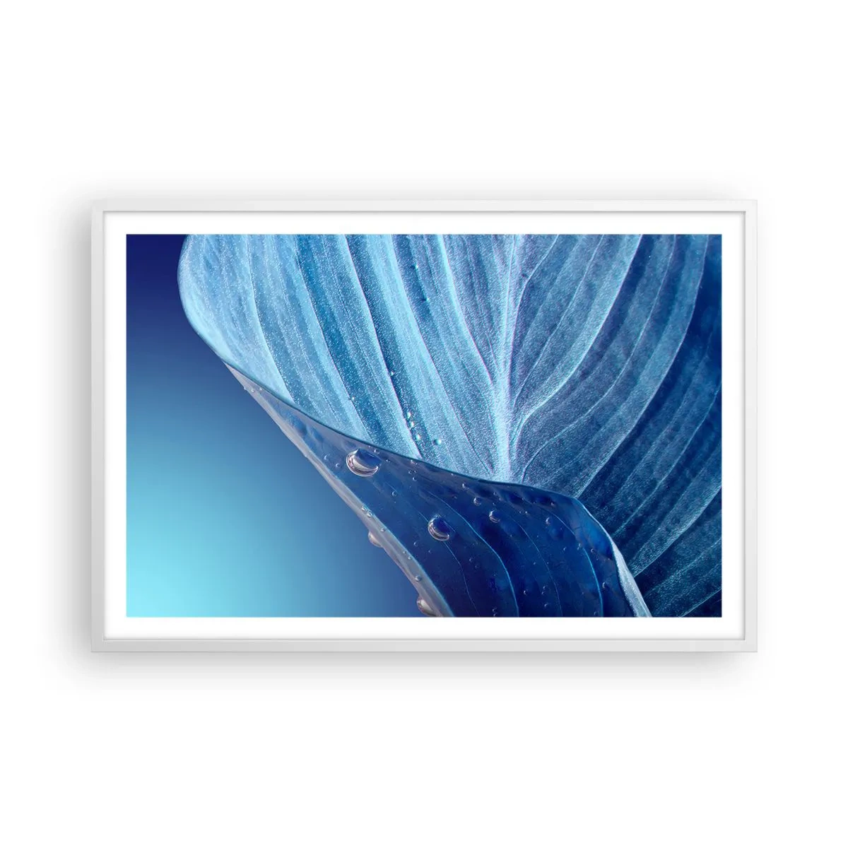 Poster in cornice bianca - Gocce di blu nascoste - 91x61 cm