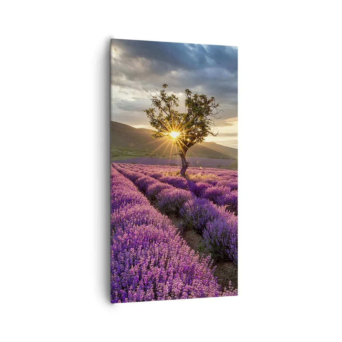 Quadro su tela - Stampe su Tela - Aroma di colore lilla - 65x120 cm