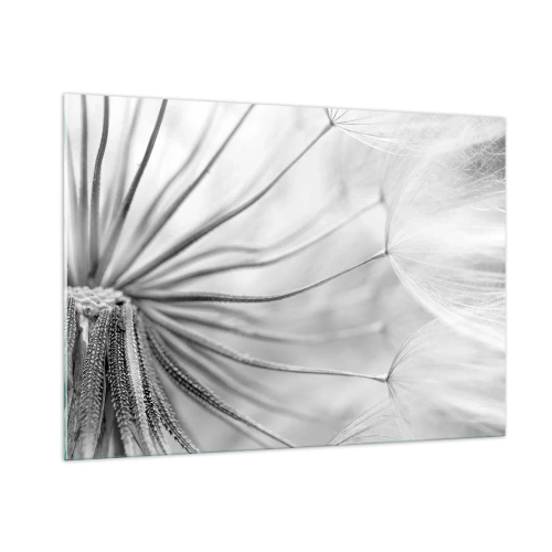 Quadro su vetro - Macrofotografia di un dente di leone in tonalità di bianco e nero - 100x70cm - Denti di leone, aquiloni - Decorazione murale moderna per soggiorno e camera da letto ARTTOR