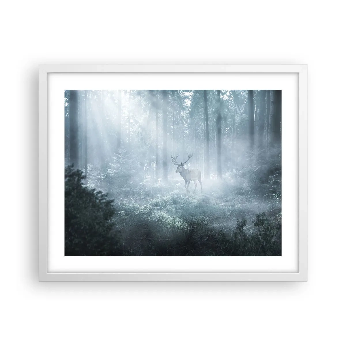 Poster in cornice bianca - Passeggiata mattutina sulle sue terre - 50x40 cm