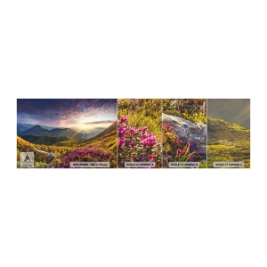 Campione di Fotomurale Premium Canvas - La freschezza di un mattino sui monti - Paesaggio, Montagne, Fiori - 100x30 cm