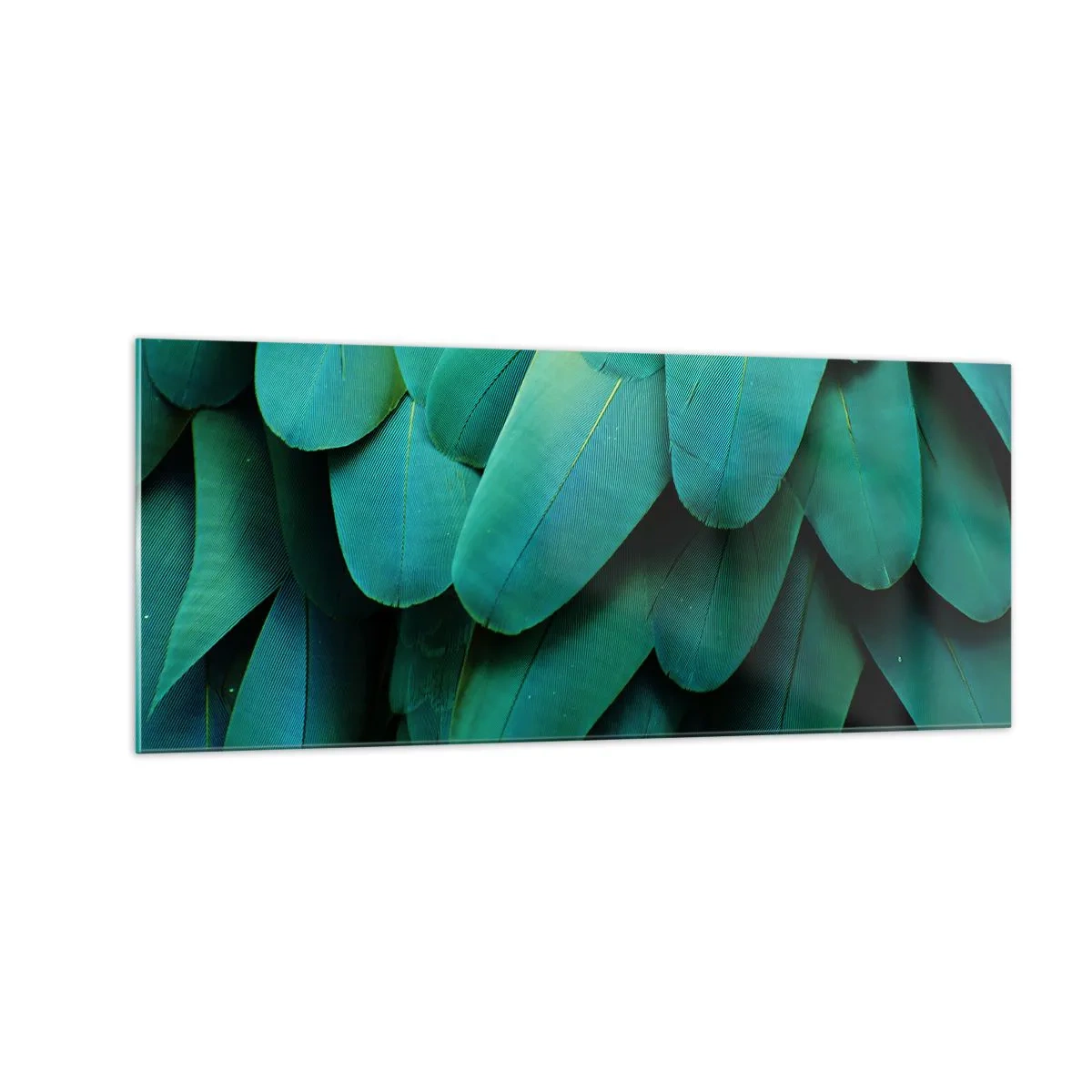 Quadro su vetro - Precisione da pappagallo - 100x40 cm