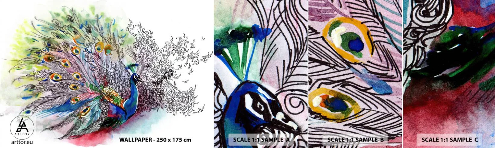 Campione Di Fotomurale Standard Eco - Con orgoglio contro il grigio - Uccello, Pavone, Piume - 100x30 cm