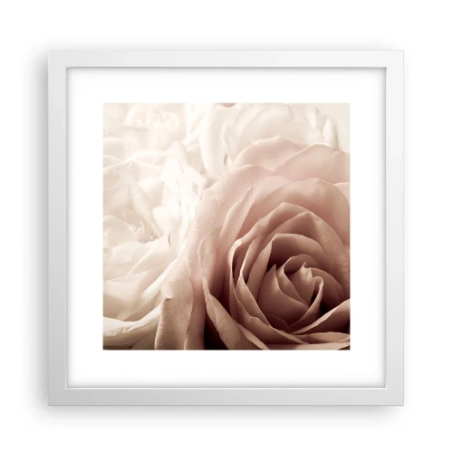 Poster in cornice bianca - Nel cuore della rosa - 30x30 cm