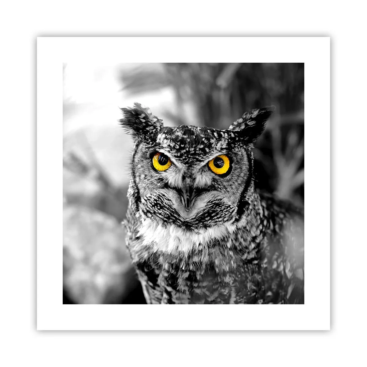 Poster - Non si può nascondere niente - 40x40 cm