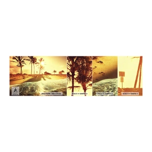 Campione Di Fotomurale Standard Eco - Pomeriggio in California - Paesaggio, Spiaggia, Palma da cocco - 100x30 cm