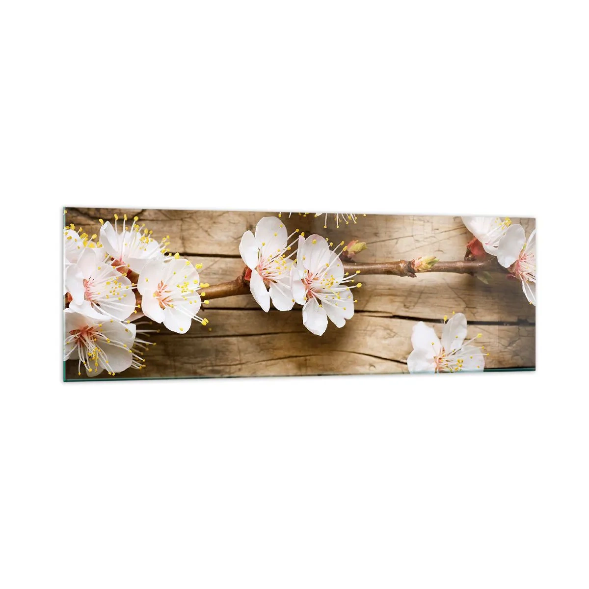 Quadro su vetro - Rami di ciliegi in fiore su uno sfondo di tavola di legno - 160x50cm - Ed è giunta la primavera - Decorazione murale moderna per soggiorno e camera da letto ARTTOR