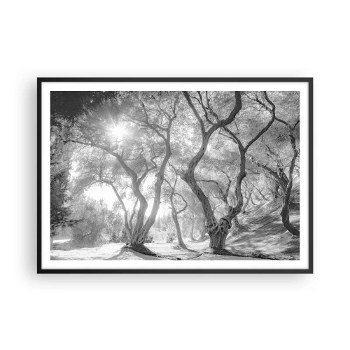Poster in cornice nera - Vista in bianco e nero degli alberi in un uliveto con raggi di sole - 100x70cm - Nell'orto degli ulivi - Decorazione murale moderna per soggiorno e camera da letto ARTTOR