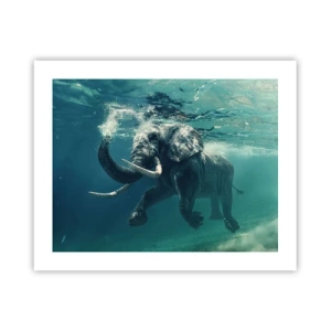 Poster - Tutti amano nuotare - 50x40 cm