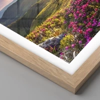 Rovere chiaro