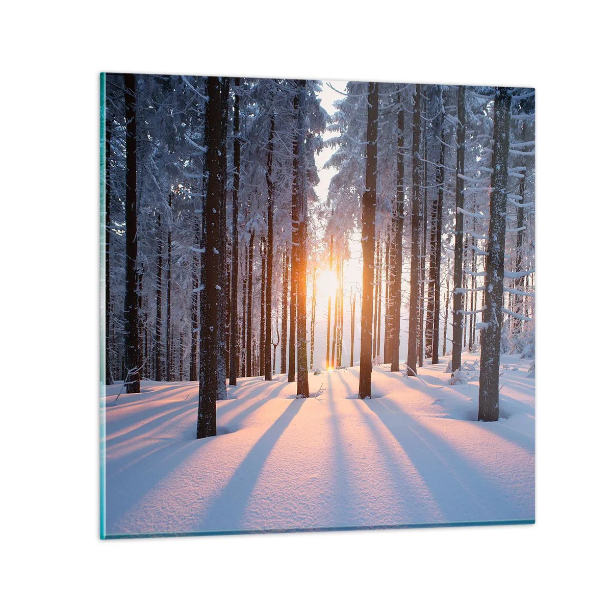 Quadro su vetro - Decisamente nero su bianco - 30x30 cm