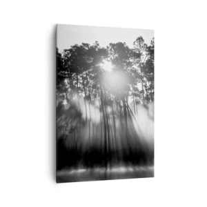 Quadro su tela - Stampe su Tela - Foresta bianca e nera nella nebbia mattutina - 70x100cm - Sole irrefrenabile - Decorazione murale moderna per soggiorno e camera da letto ARTTOR