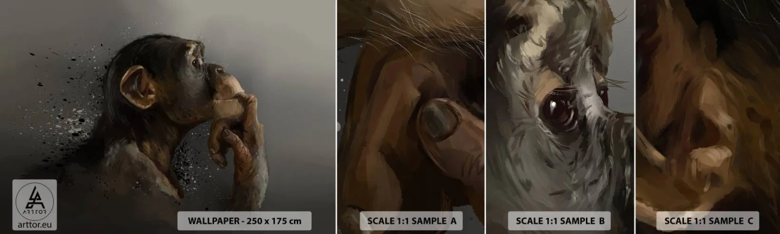 Campione Di Fotomurale Standard Eco - Sicuramente un pensatore - Animali, Scimmia, Pezzo - 100x30 cm