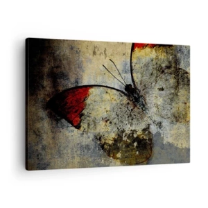 Quadro su tela - Stampe su Tela - Una farfalla nei toni del rosso e del grigio su uno sfondo strutturato - 70x50cm - Guarda prima che scompaia - Decorazione murale moderna per soggiorno e camera da letto ARTTOR
