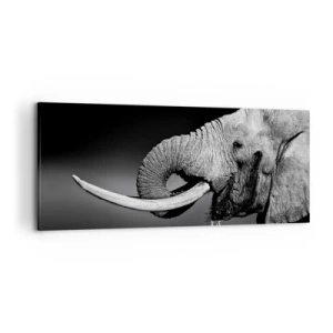 Quadro su tela - Stampe su Tela - Ritratto in bianco e nero di un elefante di profilo - 120x50cm - Si, adesso va bene - Decorazione murale moderna per soggiorno e camera da letto ARTTOR