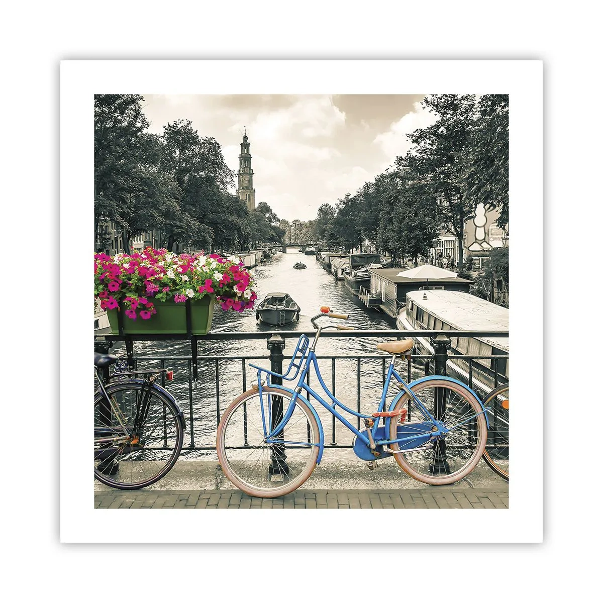 Poster - I colori delle strade di Amsterdam - 50x50 cm