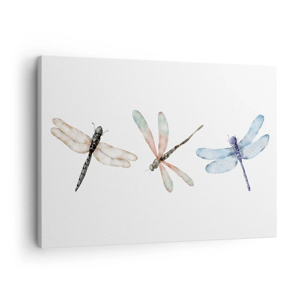 Quadro su tela - Stampe su Tela - Tre libellule dai delicati colori pastello - 70x50cm - Libellule senza peso - Decorazione murale moderna per soggiorno e camera da letto ARTTOR