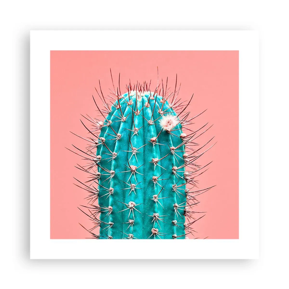 Poster - Stai attento - 40x40 cm