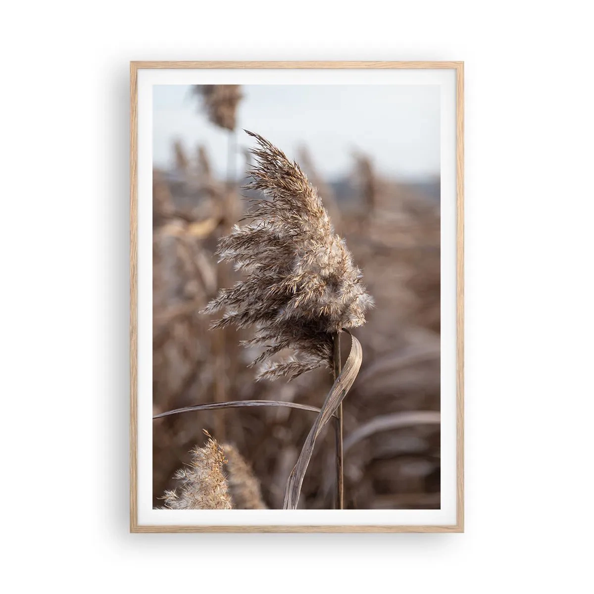 Poster in cornice rovere chiaro - è tempo di volare col vento - 70x100 cm