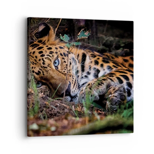 Quadro su tela - Stampe su Tela - Fidati di me - 30x30 cm
