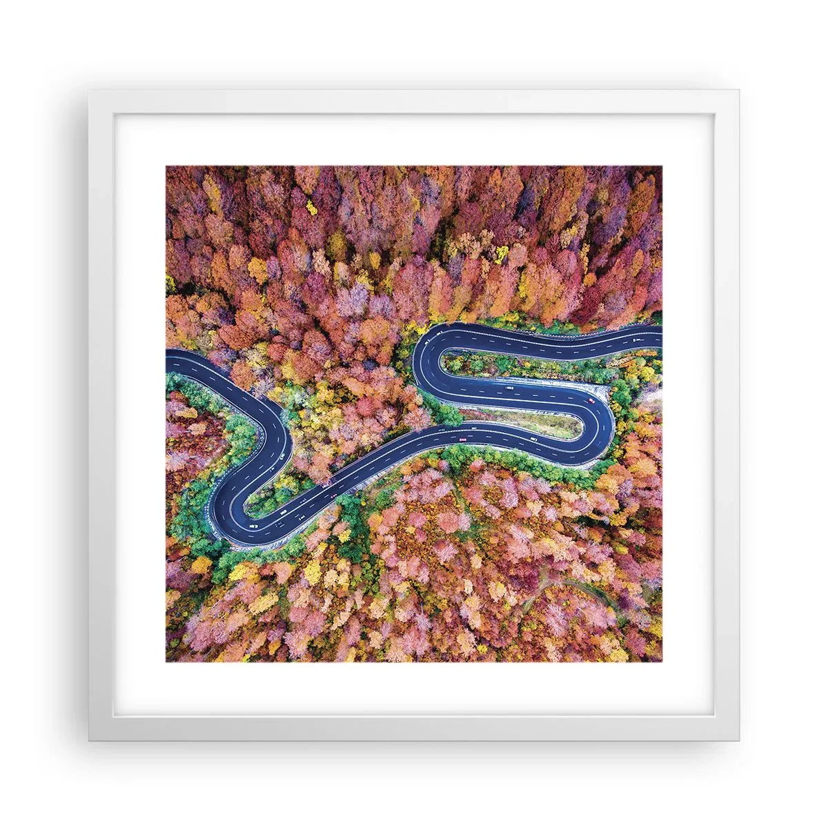 Poster in cornice bianca - Via tortuosa attraverso il bosco - 40x40 cm