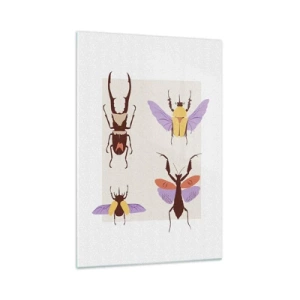 Quadro su vetro - Il mondo degli insetti - 70x100 cm