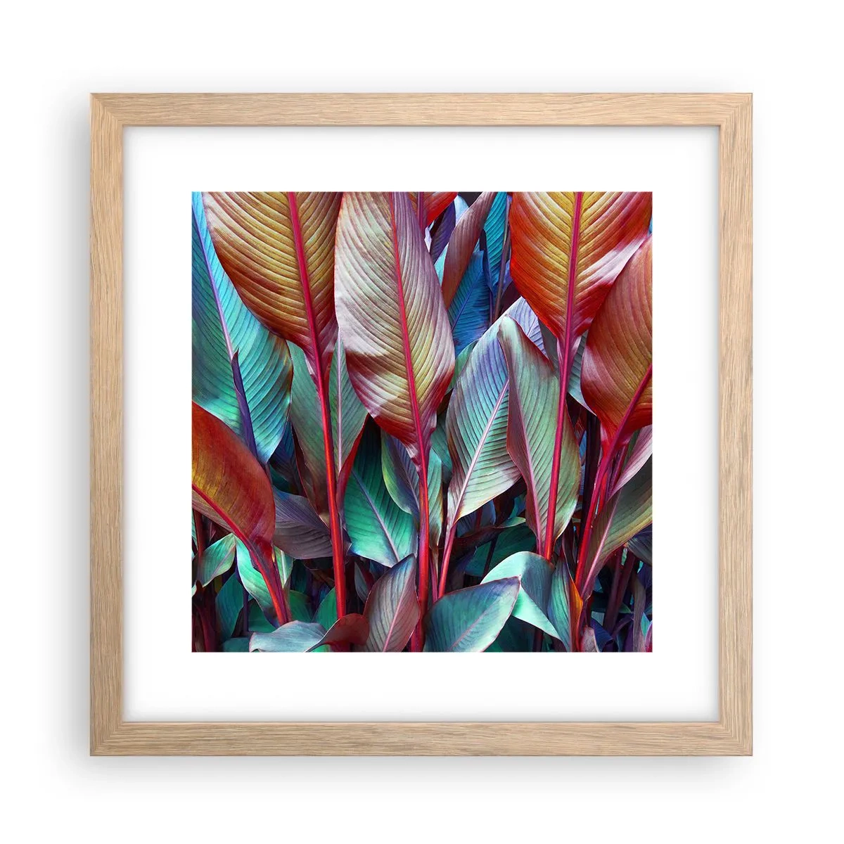 Poster in cornice rovere chiaro - Selva colorata - 30x30 cm