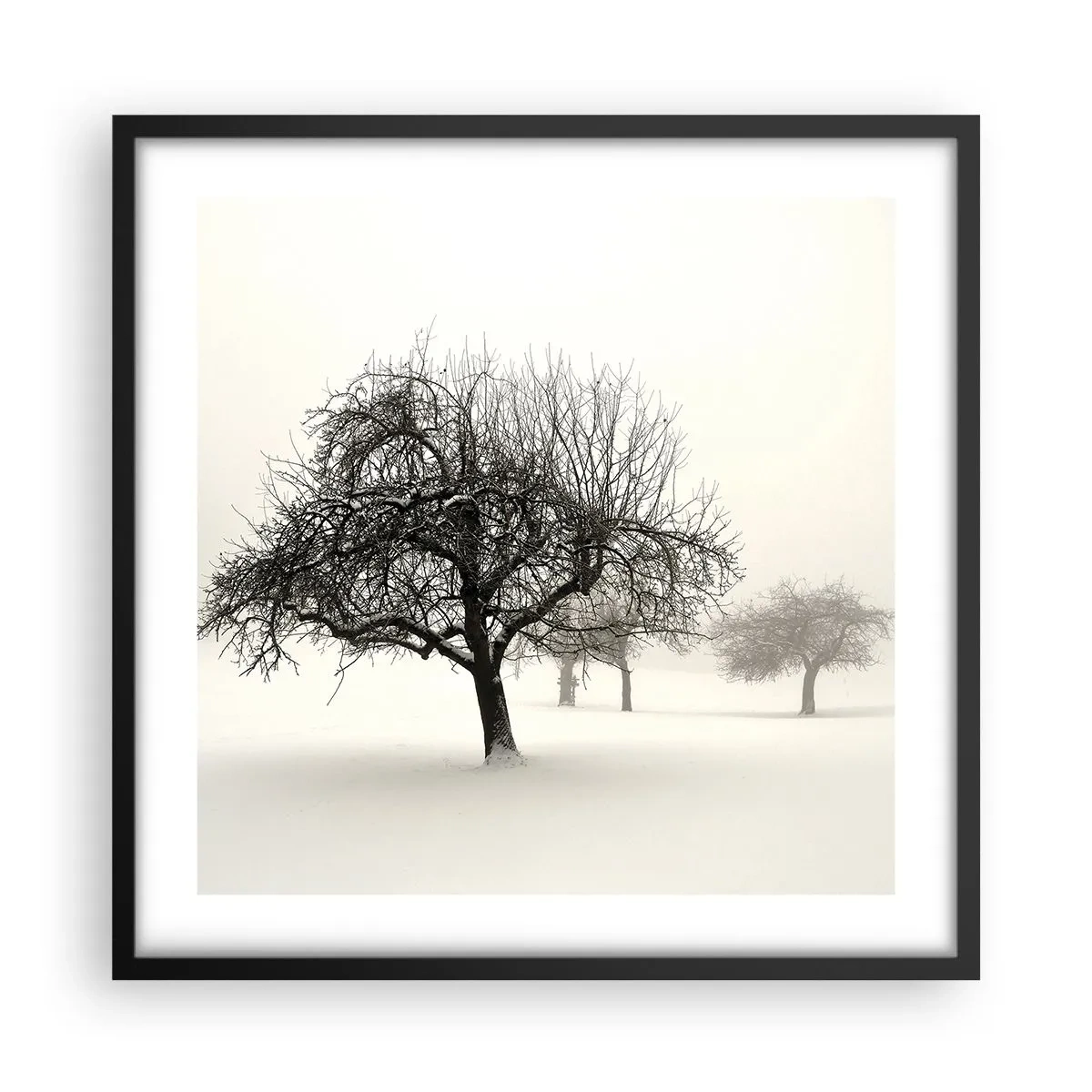 Poster in cornice nera - Sogno invernale - 50x50 cm