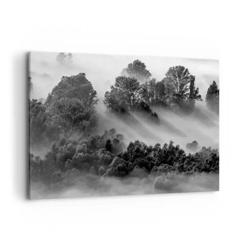 Quadro su tela - Stampe su Tela - Paesaggio forestale in bianco e nero nella nebbia mattutina - 120x80cm - Risveglio dal sonno - Decorazione murale moderna per soggiorno e camera da letto ARTTOR