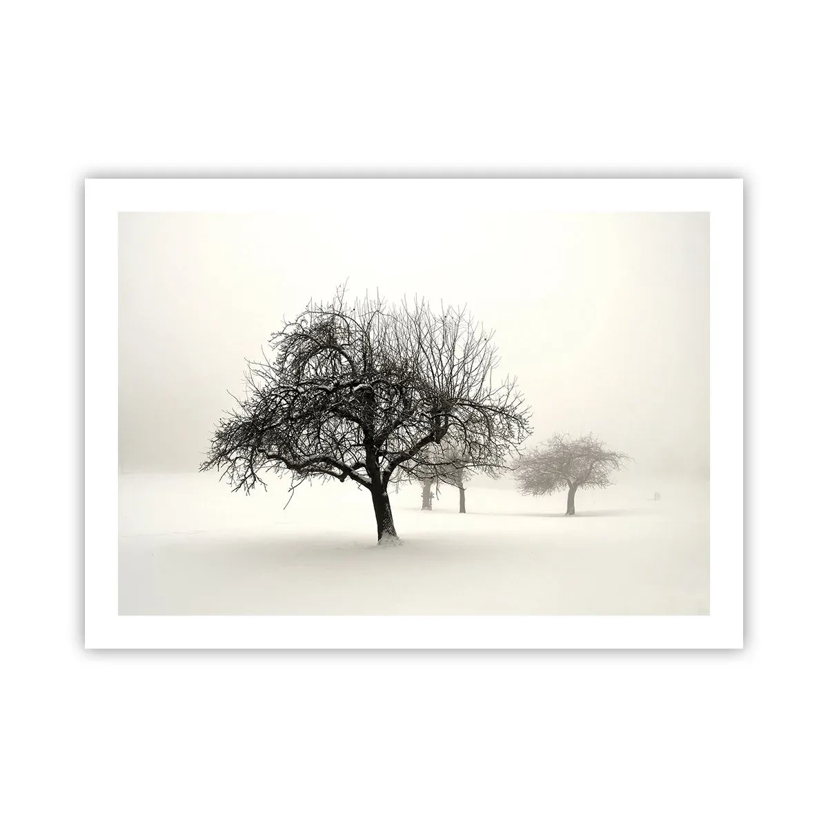 Poster - Sogno invernale - 70x50 cm