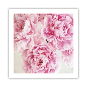 Poster - Nel fasto rosa - 50x50 cm