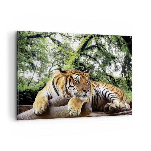 Quadro su tela - Stampe su Tela - Una tigre che riposa in una foresta tropicale - 100x70cm - Con espressioni di stima - Decorazione murale moderna per soggiorno e camera da letto ARTTOR