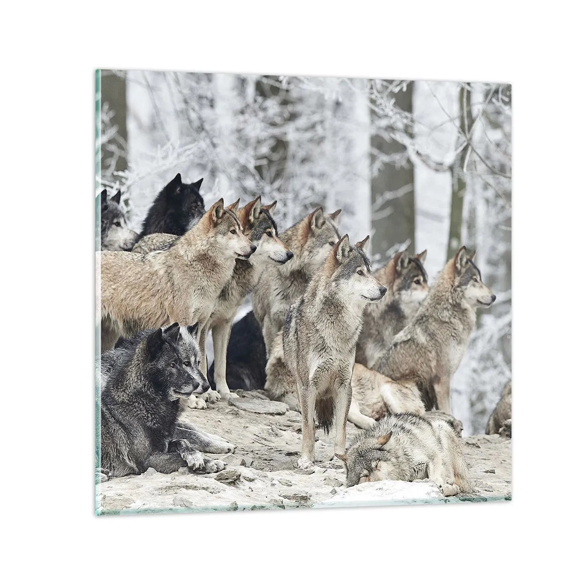 Quadro su vetro - Famiglia e amici - 70x70 cm