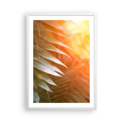 Poster in cornice bianca - L'alba nella giungla - 50x70 cm