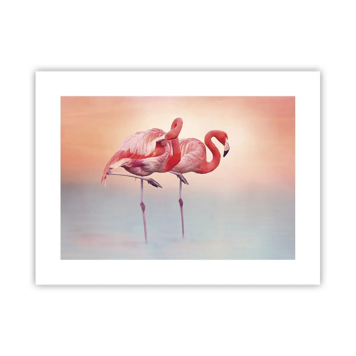 Poster - Nel colore del sole al tramonto - 40x30 cm