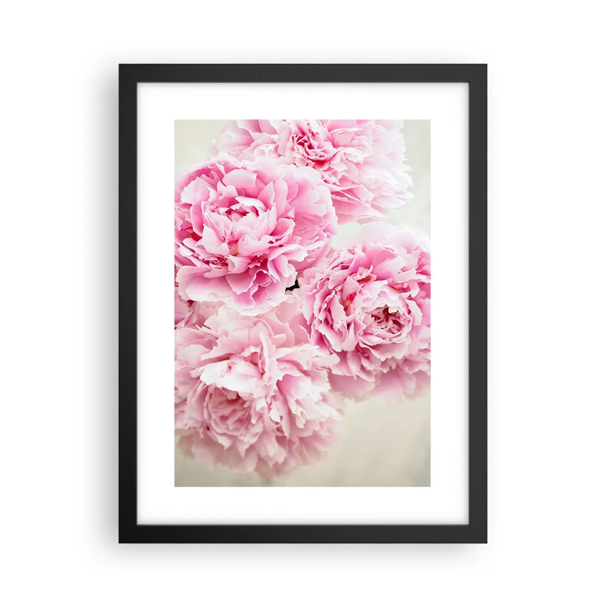 Poster in cornice nera - Nel fasto rosa - 30x40 cm