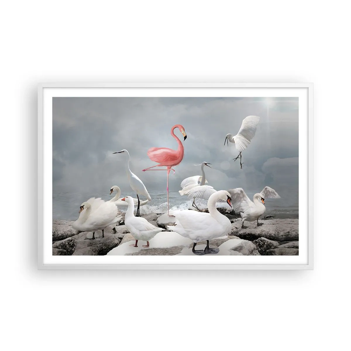 Poster in cornice bianca - Come sono arrivato qui? - 91x61 cm