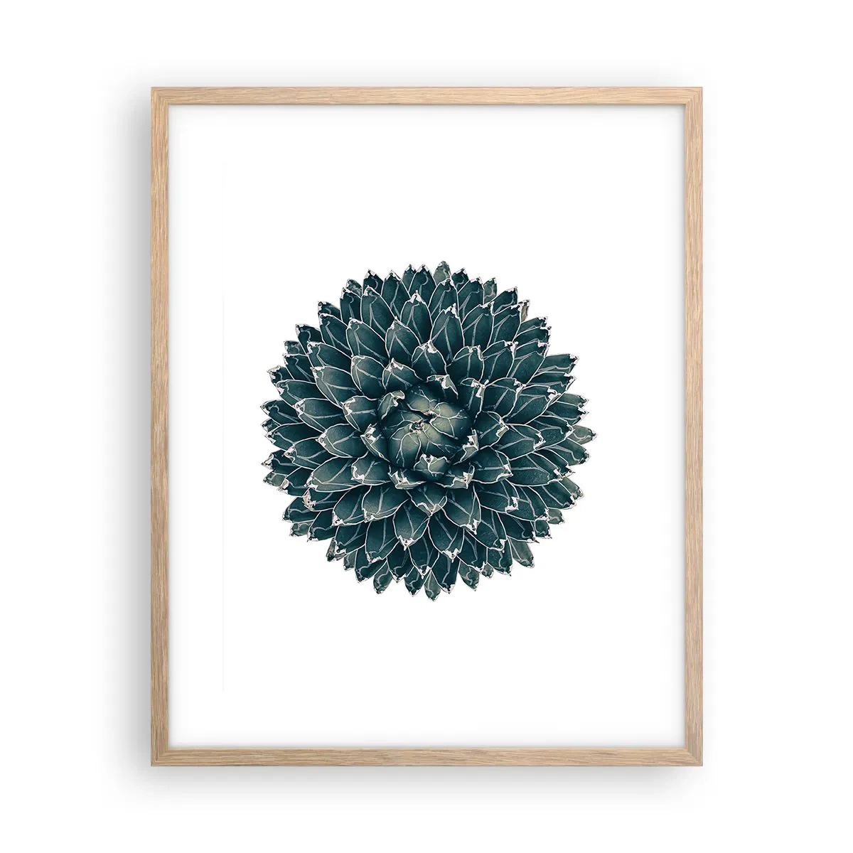 Poster in cornice rovere chiaro - La stella del deserto - 40x50 cm