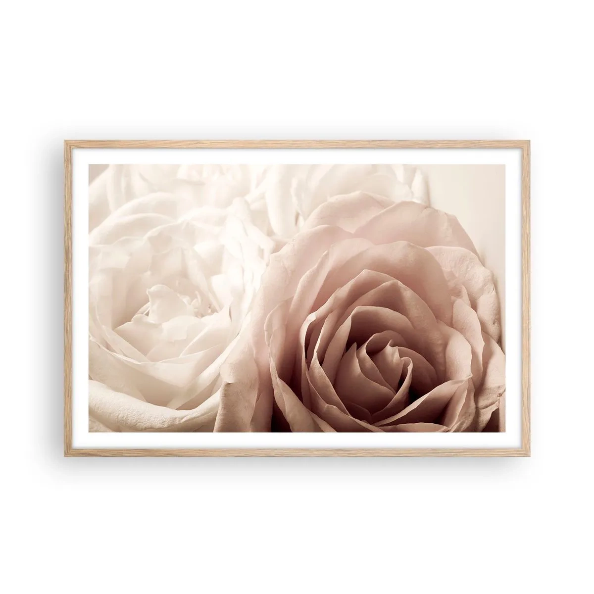 Poster in cornice rovere chiaro - Nel cuore della rosa - 91x61 cm