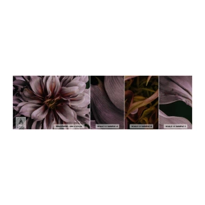 Campione di Fotomurale Adesivo Deluxe Sticker - Cuore d'aprile - Mazzo di fiori, Dalia, Fiore - 100x30 cm