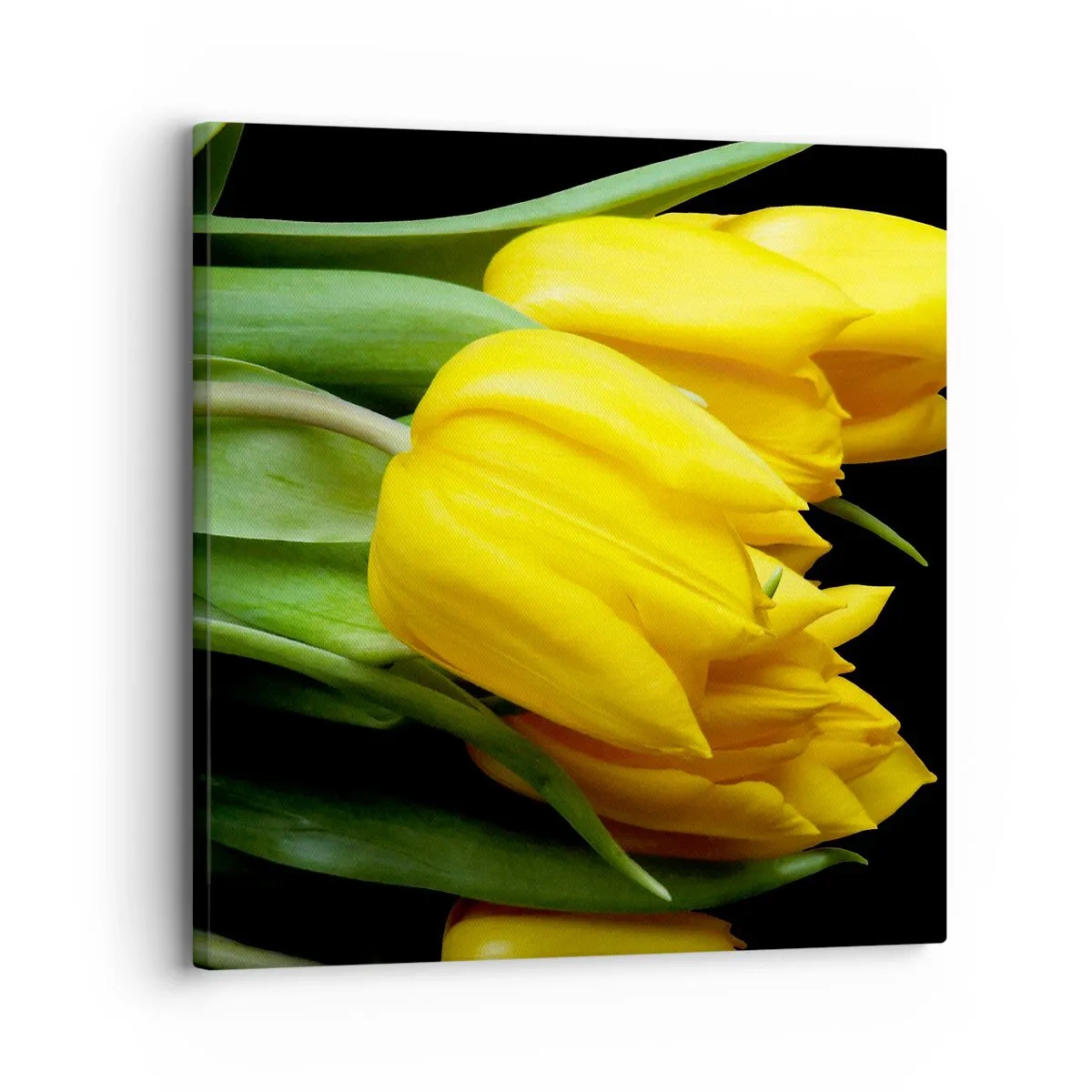 Quadro su tela - Stampe su Tela - Fatti di puro sole - 30x30 cm