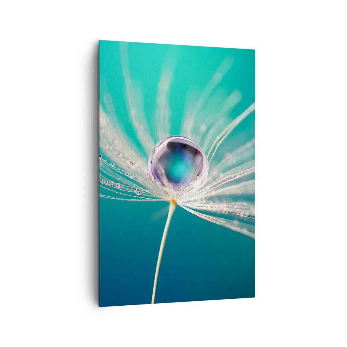 Quadro su tela - Stampe su Tela - Macro di una goccia d'acqua su un delicato seme di tarassaco - 80x120cm - Attimo mistico - Decorazione murale moderna per soggiorno e camera da letto ARTTOR