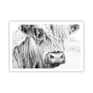 Poster - Selvaticità scozzese - 91x61 cm