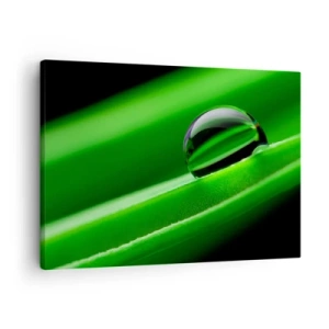 Quadro su tela - Stampe su Tela - Primo piano di una goccia di rugiada su una foglia verde - 70x50cm - La vita da vicino - Decorazione murale moderna per soggiorno e camera da letto ARTTOR